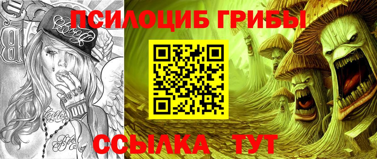 Псилоцибиновые грибы GOLDEN TEACHER Ступино